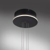 Paul Neuhaus Q-ETIENNE Pendant Light LED black, 1-light source, Remote control