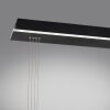 Paul Neuhaus Q-ETIENNE Pendant Light LED black, 2-light sources, Remote control