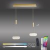 Paul Neuhaus Q-ETIENNE Pendant Light LED brass, 2-light sources, Remote control