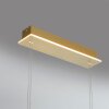 Paul Neuhaus Q-ETIENNE Pendant Light LED brass, 4-light sources, Remote control