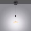 Paul Neuhaus LAUTADA Pendant Light LED black, 1-light source