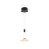 Paul Neuhaus LAUTADA Pendant Light LED black, 1-light source