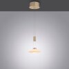 Paul Neuhaus LAUTADA Pendant Light LED brass, 1-light source