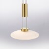 Paul Neuhaus LAUTADA Pendant Light LED brass, 1-light source