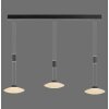 Paul Neuhaus LAUTADA Pendant Light LED black, 3-light sources