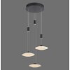 Paul Neuhaus LAUTADA Pendant Light LED black, 3-light sources