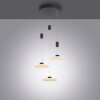 Paul Neuhaus LAUTADA Pendant Light LED black, 3-light sources