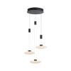 Paul Neuhaus LAUTADA Pendant Light LED black, 3-light sources