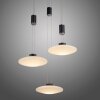 Paul Neuhaus LAUTADA Pendant Light LED black, 3-light sources