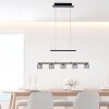 Paul Neuhaus HYDRA Pendant Light LED black, 5-light sources