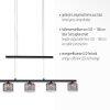 Paul Neuhaus HYDRA Pendant Light LED black, 5-light sources