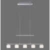 Paul Neuhaus HYDRA Pendant Light LED brushed steel, 5-light sources