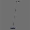 Paul Neuhaus PURE-MIRA Floor Lamp LED black, 1-light source, Remote control