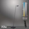 Paul Neuhaus PURE-MIRA Floor Lamp LED black, 1-light source, Remote control