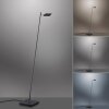 Paul Neuhaus PURE-MIRA Floor Lamp LED black, 1-light source, Remote control