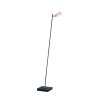 Paul Neuhaus PURE-MIRA Floor Lamp LED black, 1-light source, Remote control
