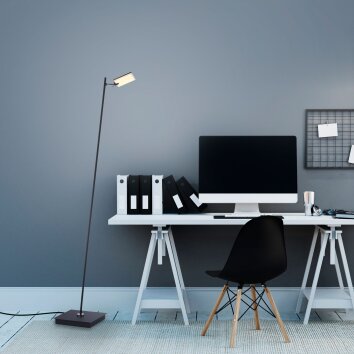 Paul Neuhaus PURE-MIRA Floor Lamp LED black, 1-light source, Remote control