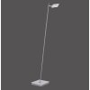 Paul Neuhaus PURE-MIRA Floor Lamp LED aluminium, 1-light source, Remote control
