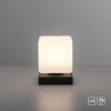 Paul Neuhaus DADOA Table lamp LED anthracite, 1-light source