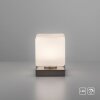 Paul Neuhaus DADOA Table lamp LED brushed steel, 1-light source
