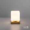 Paul Neuhaus DADOA Table lamp LED brass, 1-light source