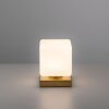 Paul Neuhaus DADOA Table lamp LED brass, 1-light source