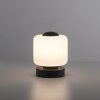 Paul Neuhaus BOTA Table lamp LED anthracite, 1-light source