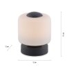 Paul Neuhaus BOTA Table lamp LED anthracite, 1-light source