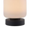 Paul Neuhaus BOTA Table lamp LED anthracite, 1-light source