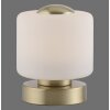 Paul Neuhaus BOTA Table lamp LED brass, 1-light source