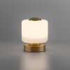 Paul Neuhaus BOTA Table lamp LED brass, 1-light source