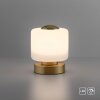 Paul Neuhaus BOTA Table lamp LED brass, 1-light source