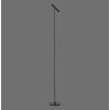 Paul Neuhaus PURE-TUTUA Floor Lamp LED black, 1-light source