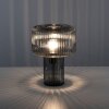 Paul Neuhaus FUNGUS Table lamp smoke coloured, 1-light source