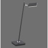 Paul Neuhaus PURE-MIRA Table lamp LED black, 1-light source, Remote control