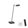 Paul Neuhaus PURE-MIRA Table lamp LED black, 1-light source, Remote control