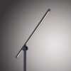 Paul Neuhaus PURE-GRAFO Table lamp LED black, 1-light source