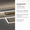 Paul Neuhaus PAAN Ceiling Light LED brushed steel, 1-light source, Remote control