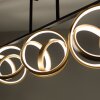 Paul Neuhaus LOOP Ceiling Light LED brass, black, 3-light sources, Remote control