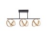 Paul Neuhaus LOOP Ceiling Light LED brass, black, 3-light sources, Remote control