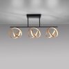 Paul Neuhaus LOOP Ceiling Light LED brass, black, 3-light sources, Remote control