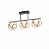 Paul Neuhaus LOOP Ceiling Light LED brass, black, 3-light sources, Remote control