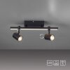 Paul Neuhaus BARIK Ceiling Light LED black, 2-light sources