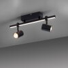Paul Neuhaus BARIK Ceiling Light LED black, 2-light sources