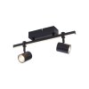 Paul Neuhaus BARIK Ceiling Light LED black, 2-light sources