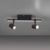 Paul Neuhaus BARIK Ceiling Light LED black, 2-light sources