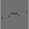 Paul Neuhaus BARIK Ceiling Light LED black, 4-light sources