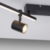 Paul Neuhaus BARIK Ceiling Light LED black, 4-light sources