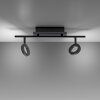 Paul Neuhaus SILEDA Ceiling Light anthracite, 2-light sources