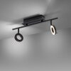 Paul Neuhaus SILEDA Ceiling Light anthracite, 2-light sources